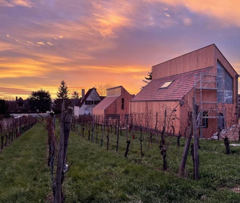 Вилла Le Cepage, Au Coeur Des Vignes. Эгишем Экстерьер фото